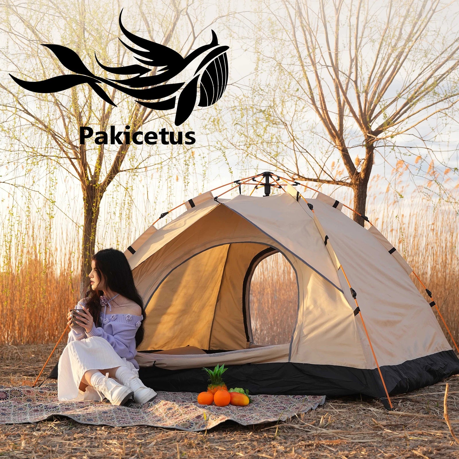 2-4 Person Lightweight Windproof Tent